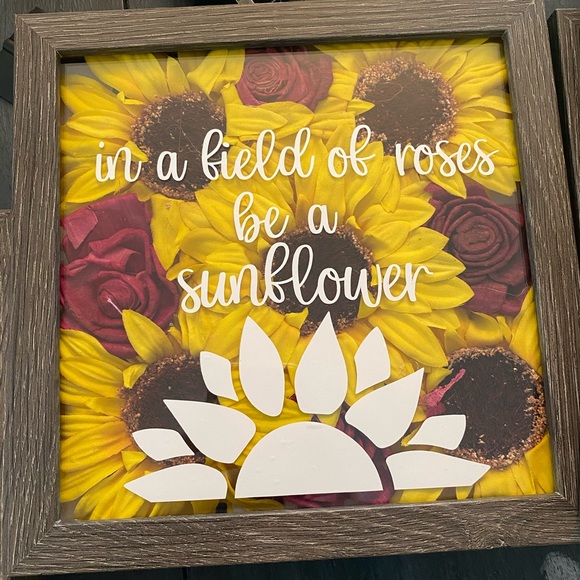 Shadow Boxes - Picture 13 of 14